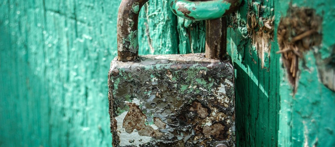 StockSnap_4YOS7QUWRV